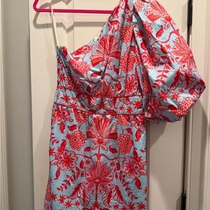 Cara Cara coral and baby Blue Floral Dress one shoulder with bubble sleeve